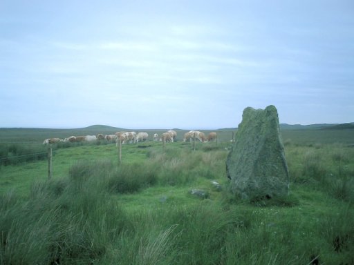 Cultoon (Stone Circle) by notjamesbond