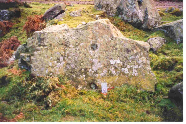 Bothwell Water (Cup Marked Stone) by Martin