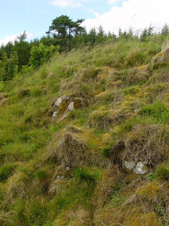 Janet's Brae Fort (Hillfort) by Martin