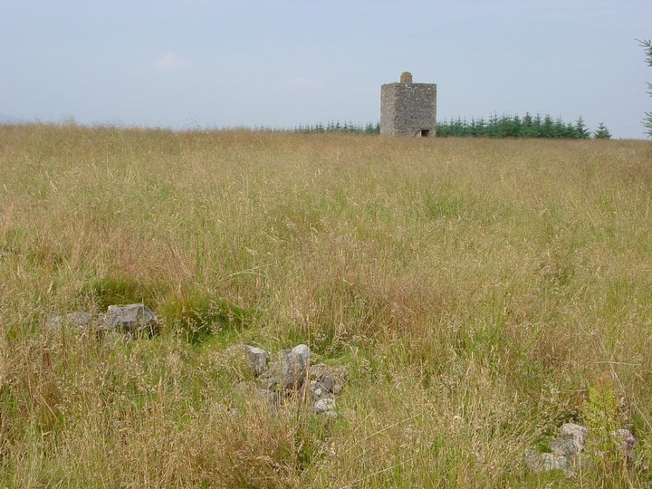 Harlaw Muir (Long Cairn) by Martin