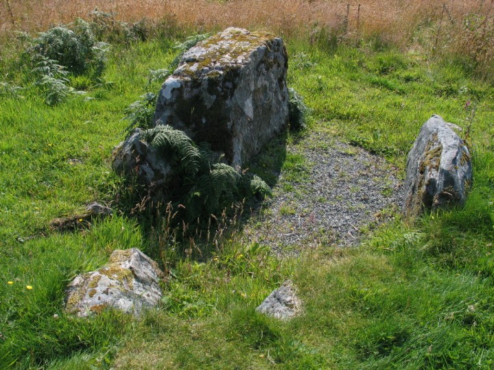 Cnoc Na Croich (Chambered Tomb) by greywether
