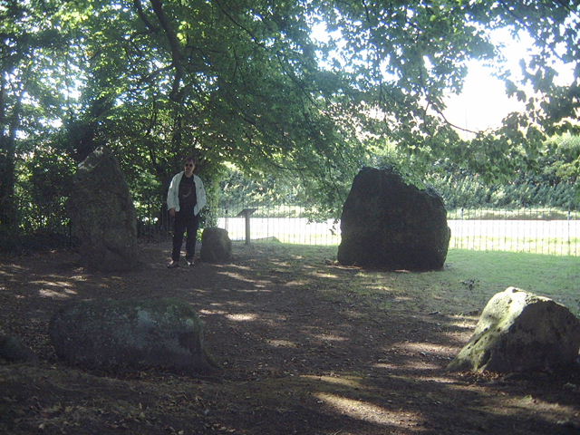 The Nine Stones of Winterbourne Abbas (Stone Circle) by moey