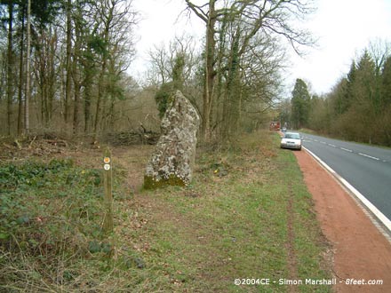 Long Stone (Staunton) (Standing Stone / Menhir) by Kammer