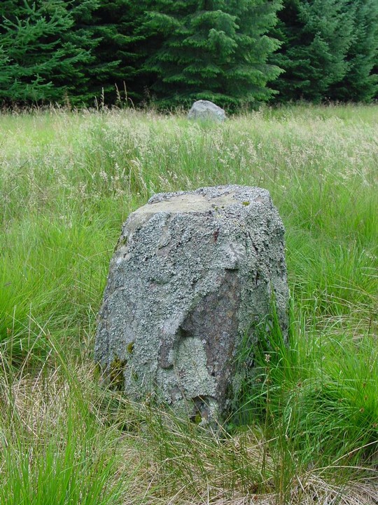 Giant's Stone (Standing Stones) by Martin