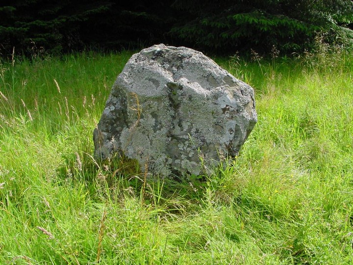 Giant's Stone (Standing Stones) by Martin