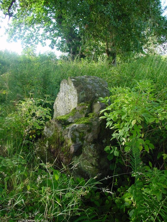 Woodside (Standing Stone / Menhir) by Martin