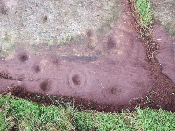 Blarnaboard (Cup and Ring Marks / Rock Art) by rockartuk