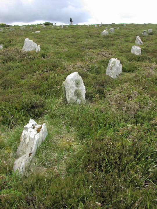 Hill O'Many Stanes (Multiple Stone Rows / Avenue) by Moth