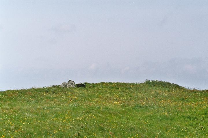 Knowe of Rowiegar (Chambered Cairn) by Moth