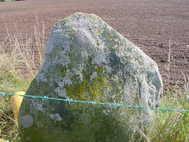 Earlston Standing Stone (Standing Stone / Menhir) by Martin