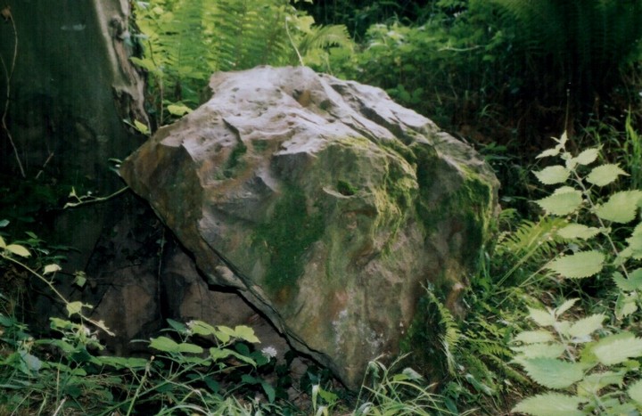 Rempstone Stone Circle (Stone Circle) by texlahoma