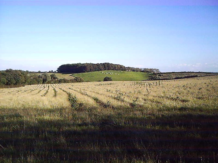 Cadborough Hill (Hillfort) by spoonboy