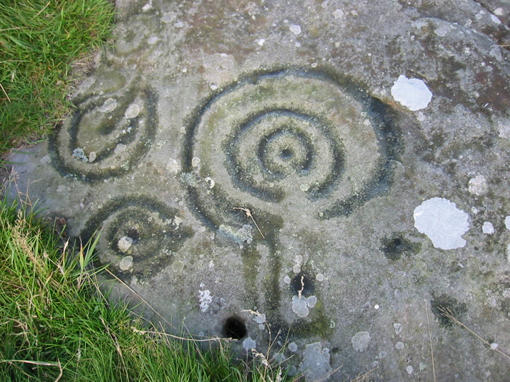 Dod Law Hillfort rock art (Cup and Ring Marks / Rock Art) by goffik
