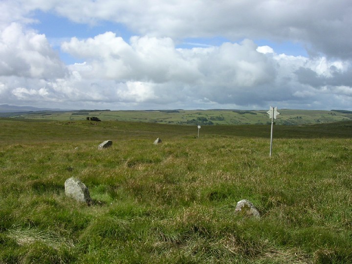 Ynys Hir (Stone Circle) by elderford