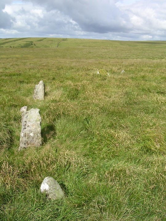 Ynys Hir (Stone Circle) by elderford