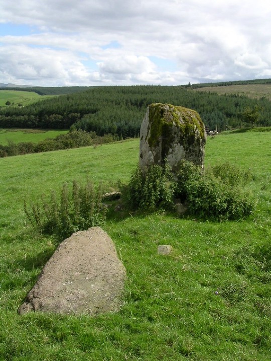 Blaenau Uchaf (Standing Stone / Menhir) by elderford