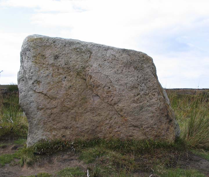 Traverse Moor Stone (Standing Stone / Menhir) by fitzcoraldo