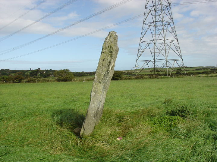 Llanfechell (Standing Stone / Menhir) by sam