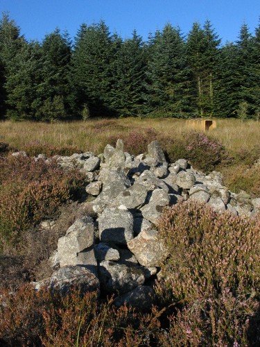 Slewcairn (Chambered Cairn) by greywether