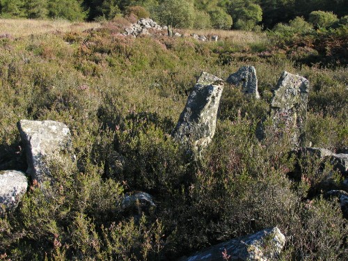 Slewcairn (Chambered Cairn) by greywether