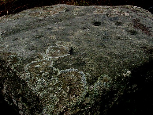 Ballochgair (Cup Marked Stone) by greywether