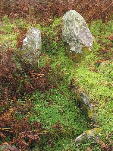 Gort Na H-Ulaidhe (Chambered Cairn) by greywether