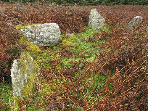 Gort Na H-Ulaidhe (Chambered Cairn) by greywether