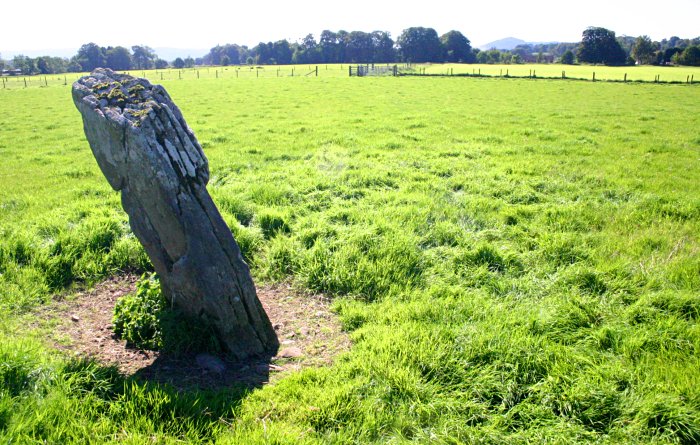 The Great X of Kilmartin (Stone Row / Alignment) by tumulus