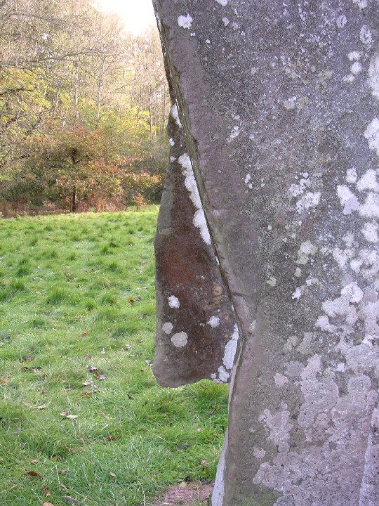 The Fish Stone (Standing Stone / Menhir) by elderford