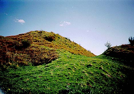 Old Oswestry (Hillfort) by treaclechops