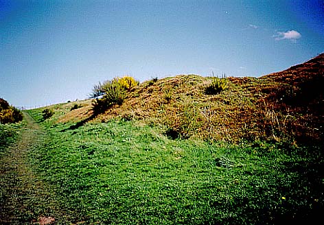 Old Oswestry (Hillfort) by treaclechops