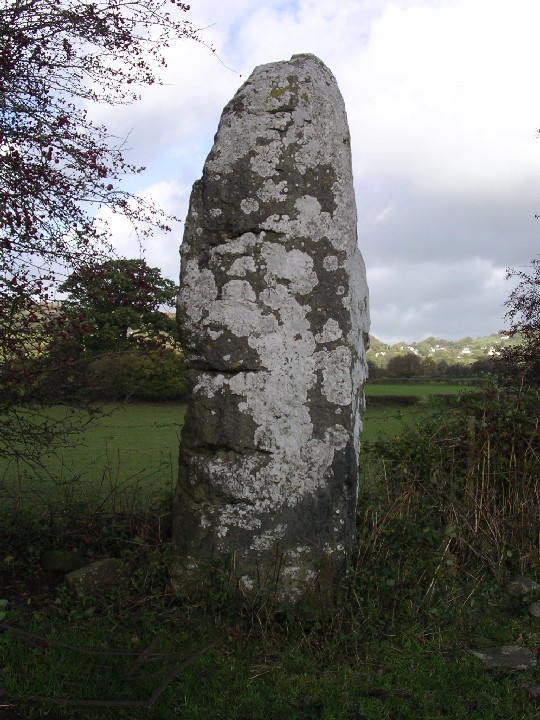 Llangynidr Stone (Standing Stone / Menhir) by elderford