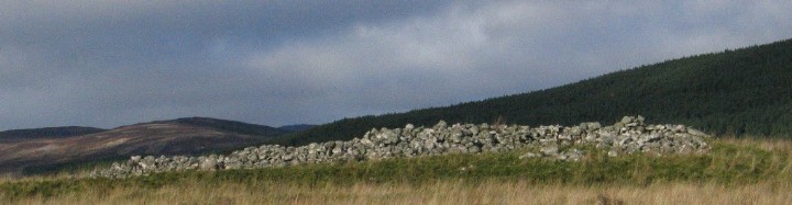 Boath Long and Short (Chambered Cairn) by greywether