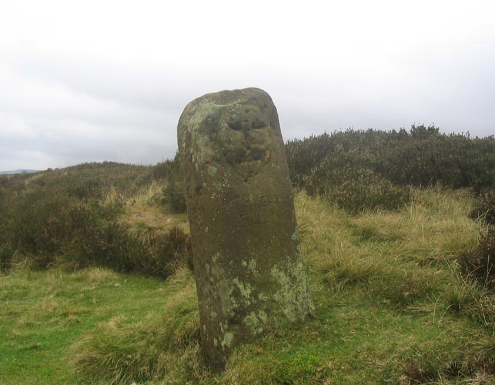 Face Stone (Standing Stone / Menhir) by fitzcoraldo