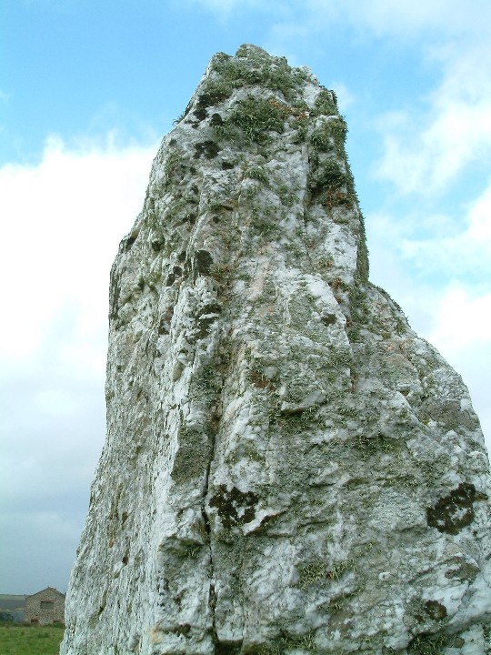 Duloe (Stone Circle) by Mr Hamhead