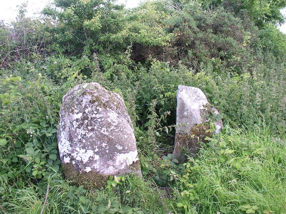 Carriganine Stone Circle (Stone Circle) by suave harv