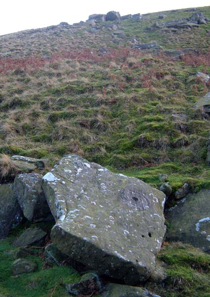 Osmonds Gill (Cup and Ring Marks / Rock Art) by Hob