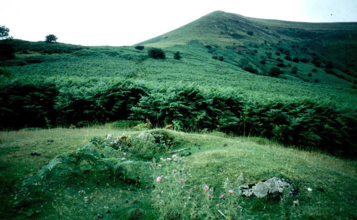 Mynydd Troed (Chambered Cairn) by greywether
