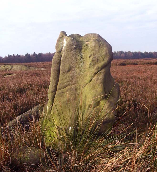Gibbet Moor Standing Stones (Standing Stone / Menhir) by fitzcoraldo