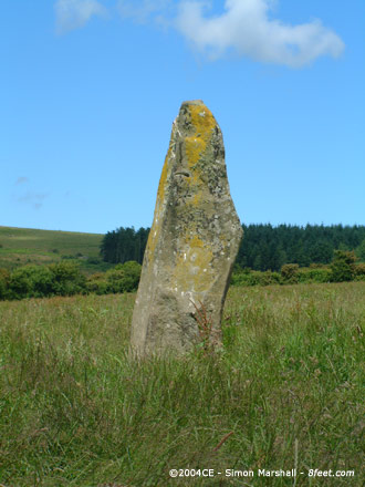 Budloy Stone (Standing Stone / Menhir) by Kammer