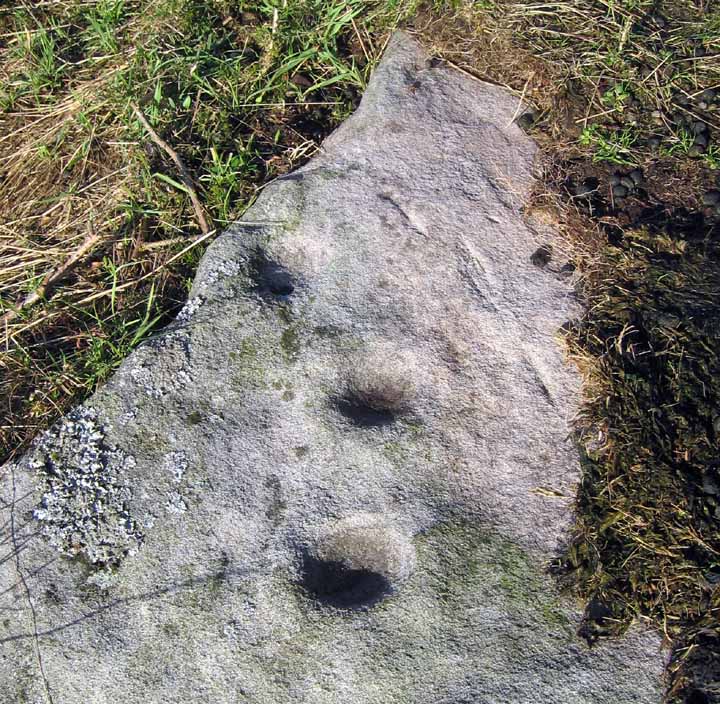 West Hills, Thropton (Cup and Ring Marks / Rock Art) by rockandy
