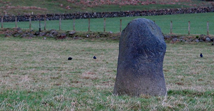 Broadgate Farm (Standing Stone / Menhir) by greywether