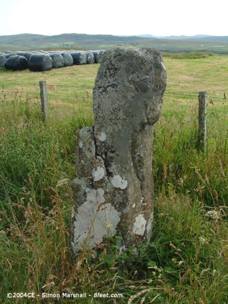 Borve (Isle of Skye) (Stone Row / Alignment) by Kammer