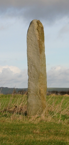 Long Tom (Fyfield) (Standing Stone / Menhir) by ocifant