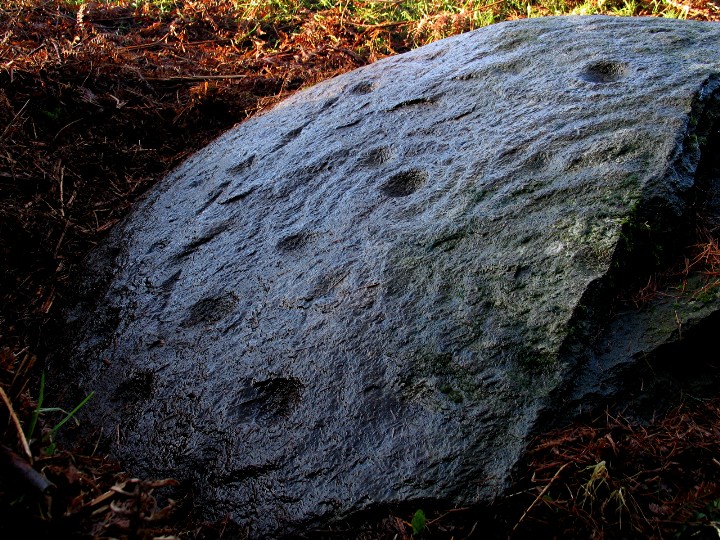 The Peace Stone (Cup and Ring Marks / Rock Art) by greywether