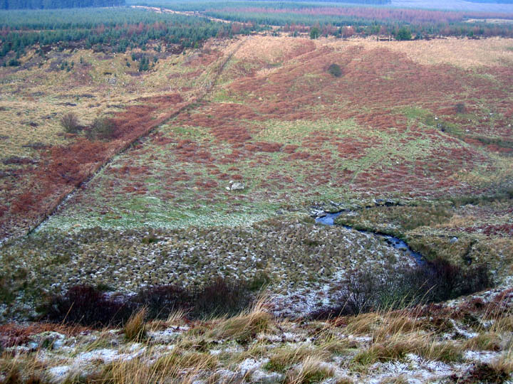 Fallowlees Burn (Cup Marked Stone) by rockandy