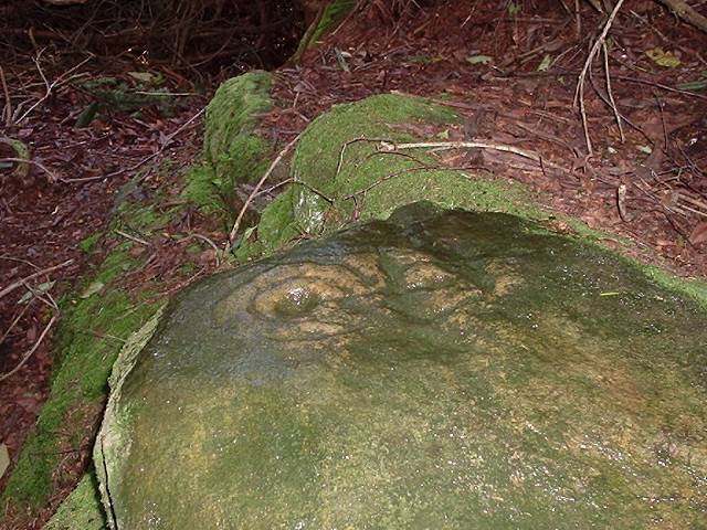 Lemmington Wood (Cup and Ring Marks / Rock Art) by rockartuk