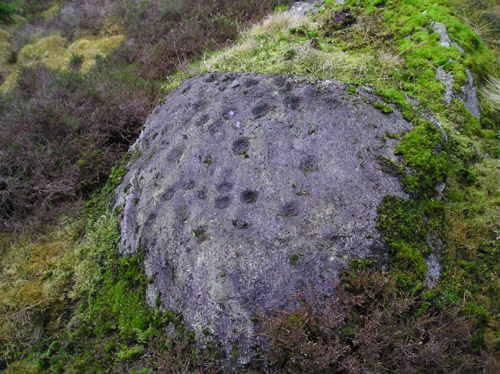 Grantully Hill (Cup Marked Stone) by tiompan