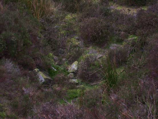 Bleara Lowe (Round Cairn) by treehugger-uk