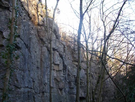 Warton Crag (Hillfort) by treehugger-uk